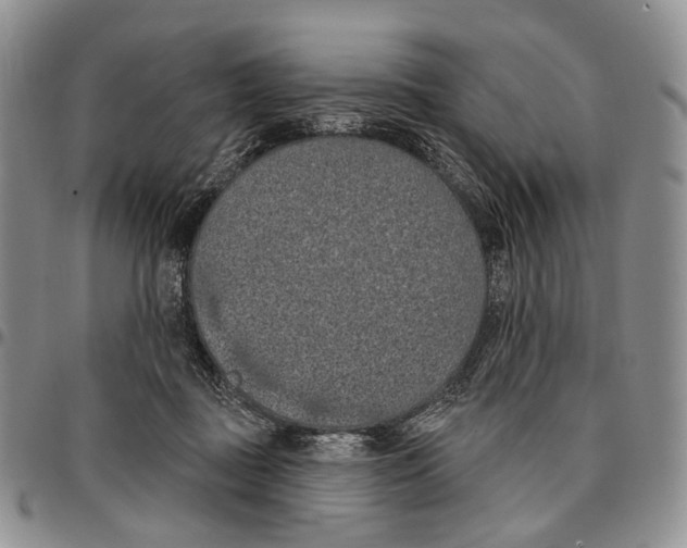 X0000096680363200803041245