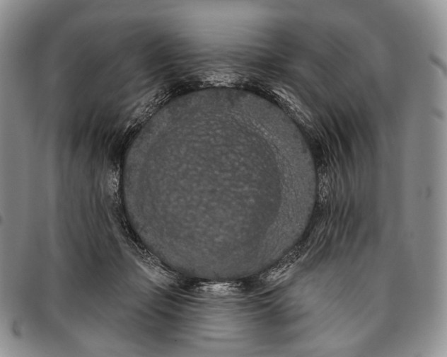 X0000096680365200803041245