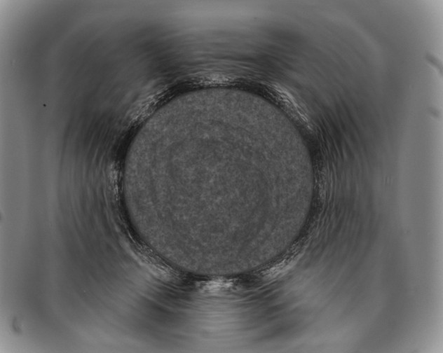 X0000096680366200803041245