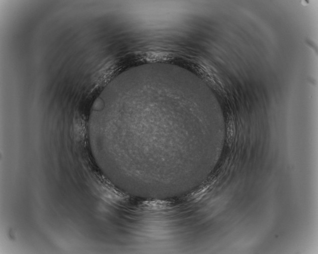 X0000096680367200803041245