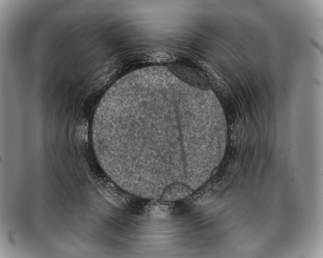 X0000096680368200803041245