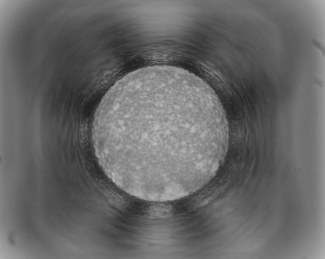 X0000096680369200803041245