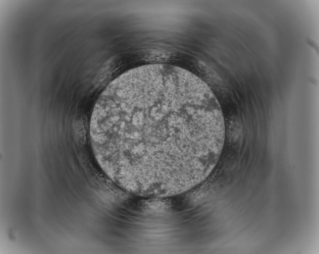 X0000096680370200803041245