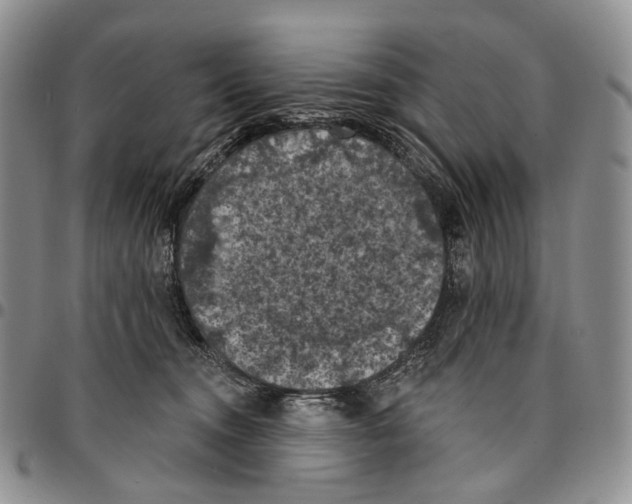 X0000096680372200803041245