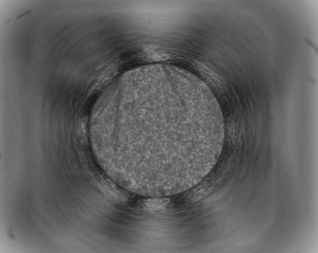 X0000096680373200803041245