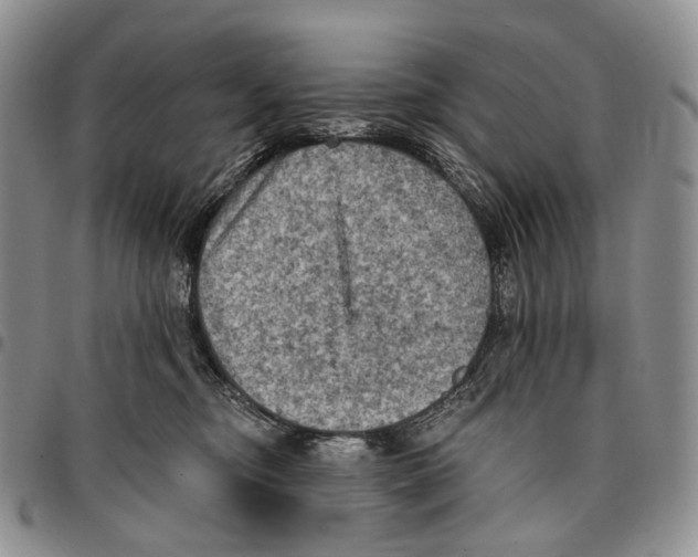 X0000096680374200803041245