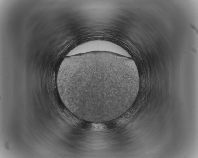 X0000096680376200803041245