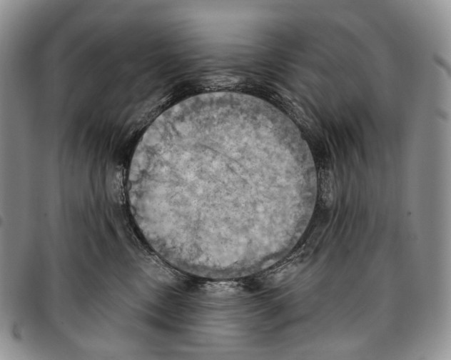 X0000096680378200803041245
