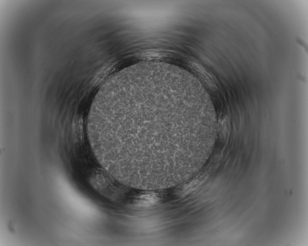 X0000096680381200803041245