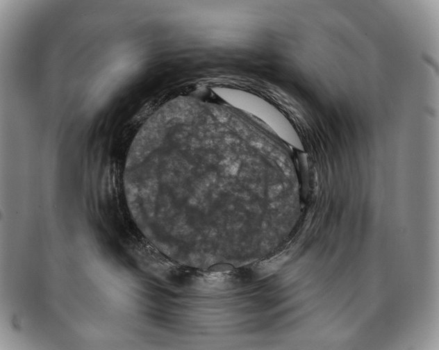 X0000096680382200803041245