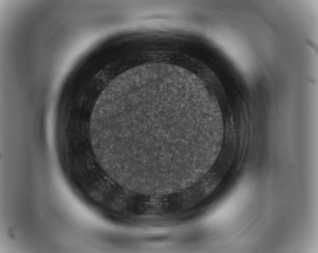 X0000096680383200803041245