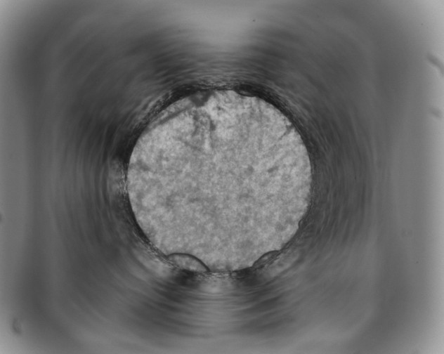 X0000096680384200803041245