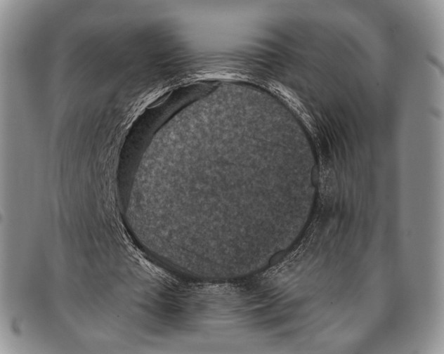 X0000096680385200803041245