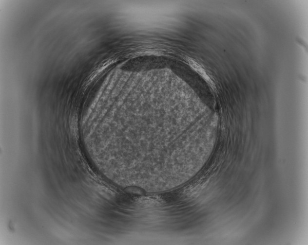 X0000096680386200803041245