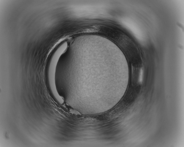 X0000096680387200803041245
