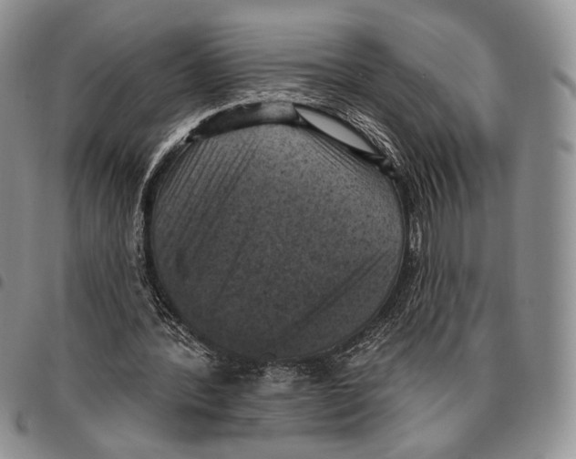 X0000096680388200803041245