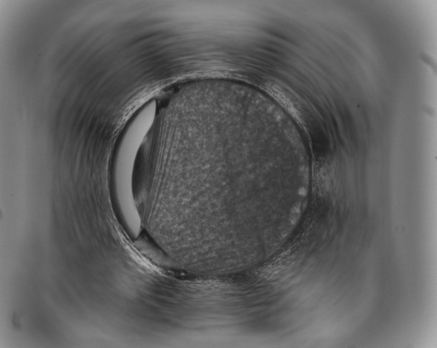 X0000096680389200803041245