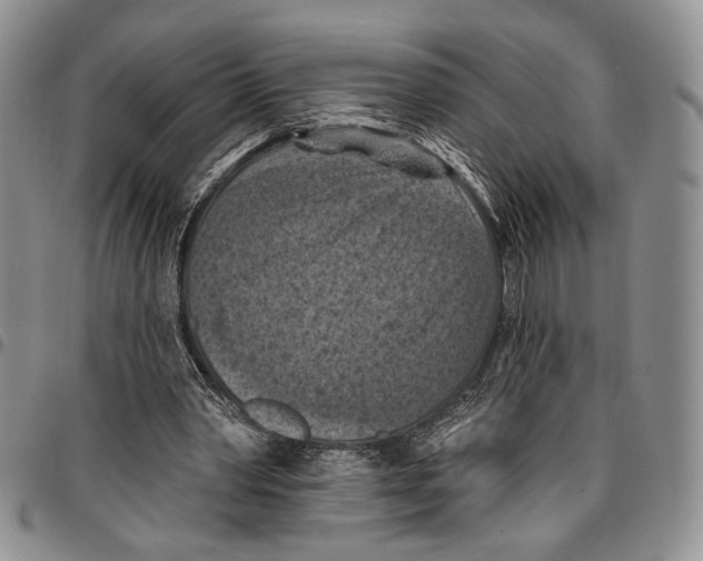 X0000096680390200803041245