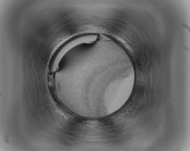 X0000096680391200803041245