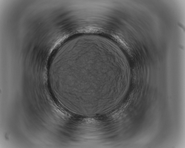 X0000096680392200803041245