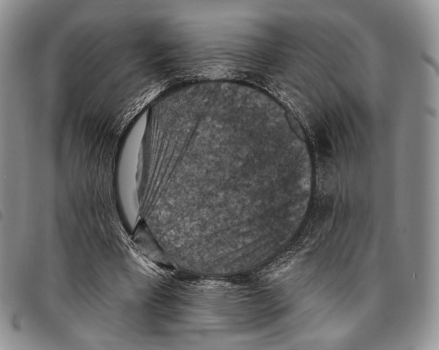 X0000096680393200803041245
