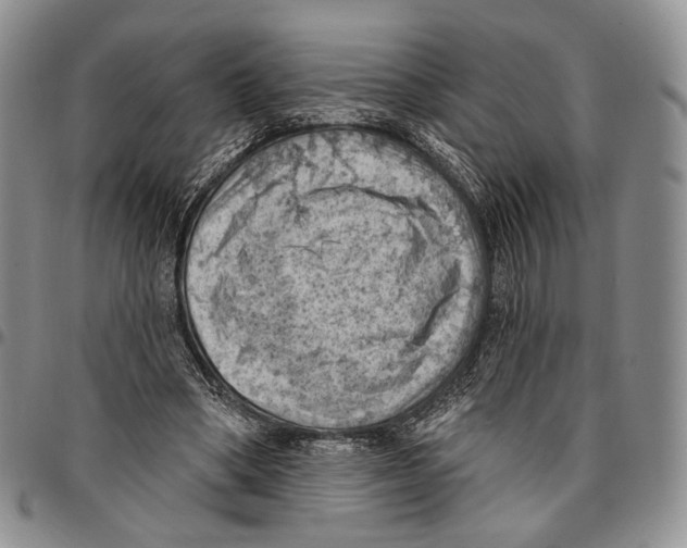 X0000096680394200803041245