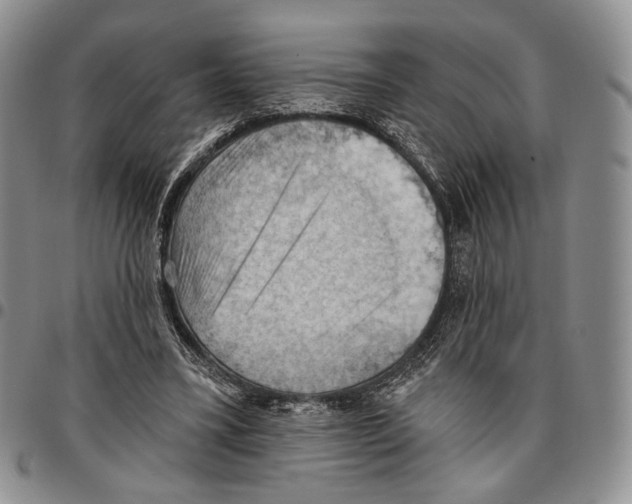 X0000096680395200803041245