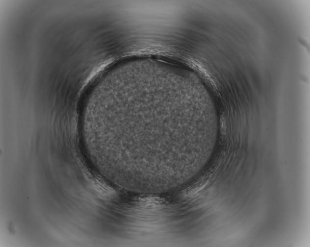 X0000096680396200803041245