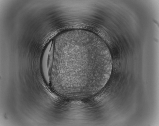 X0000096680397200803041245