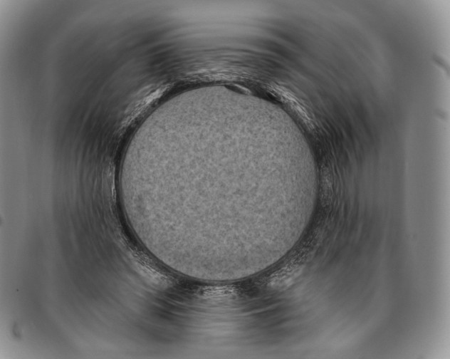 X0000096680398200803041245