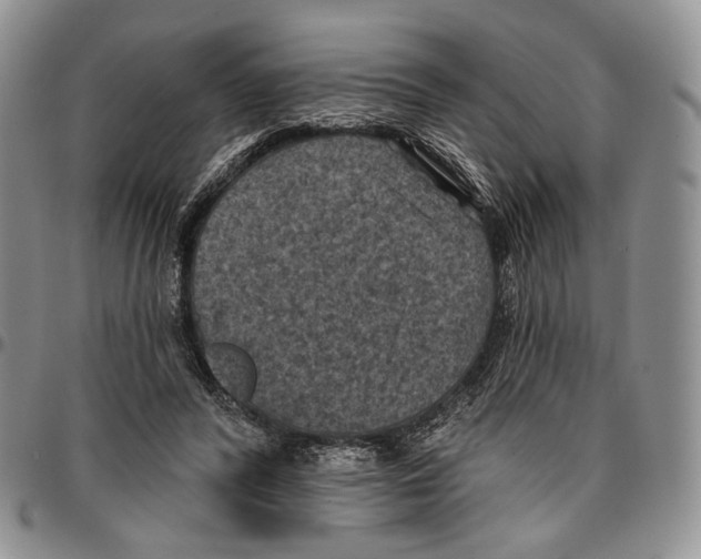 X0000096680400200803041244
