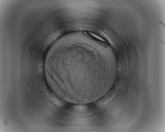 X0000096680402200803041244