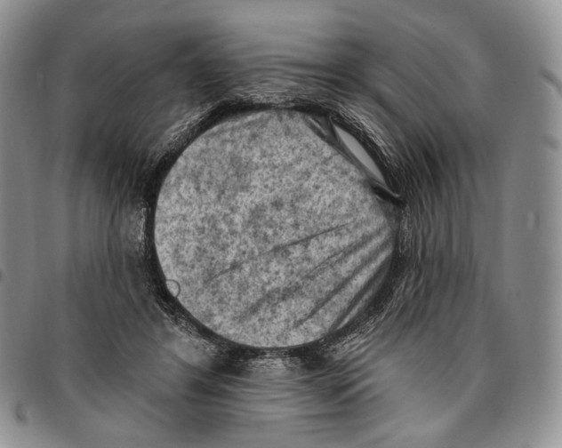 X0000096680404200803041244