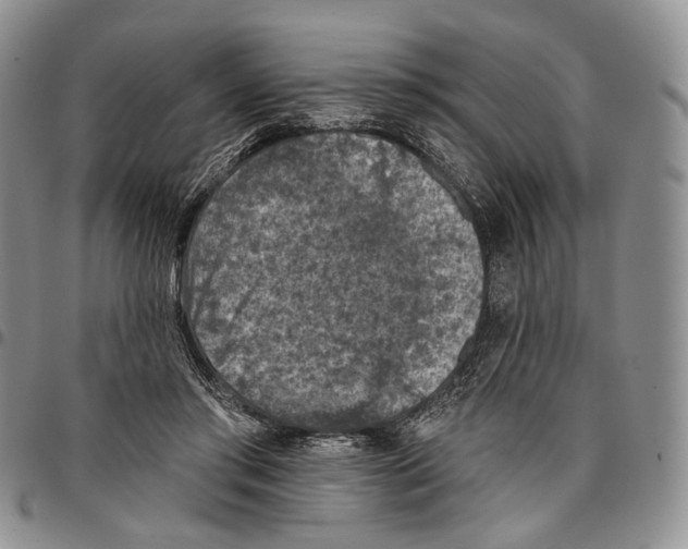X0000096680405200803041244