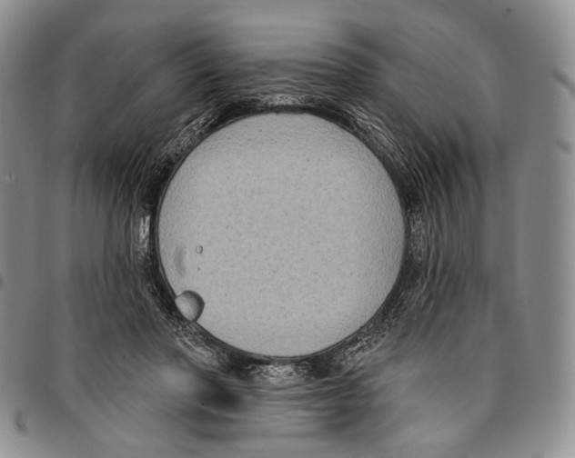 X0000096680406200803041244