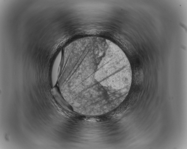 X0000096680407200803041244