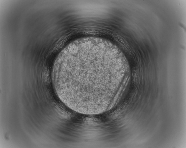 X0000096680408200803041244