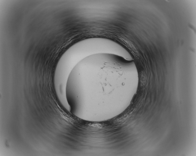 X0000096680409200803041244