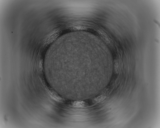 X0000096680410200803041244