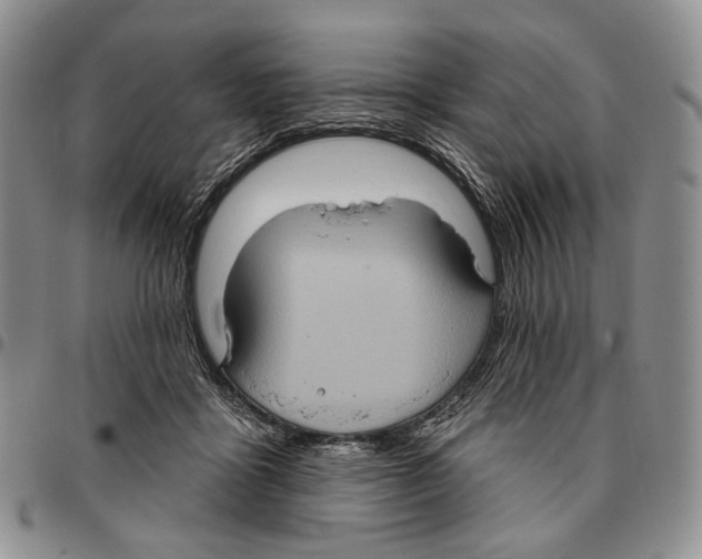 X0000096680411200803041244