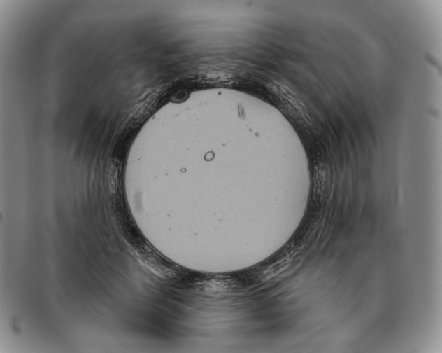 X0000096680412200803041244