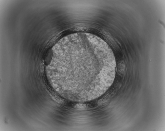 X0000096680413200803041244