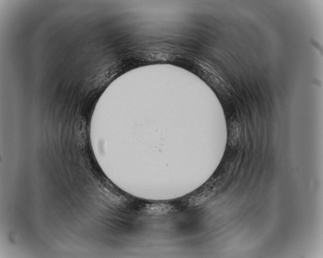 X0000096680414200803041244