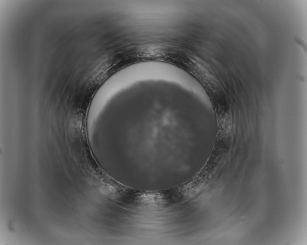 X0000096680415200803041244