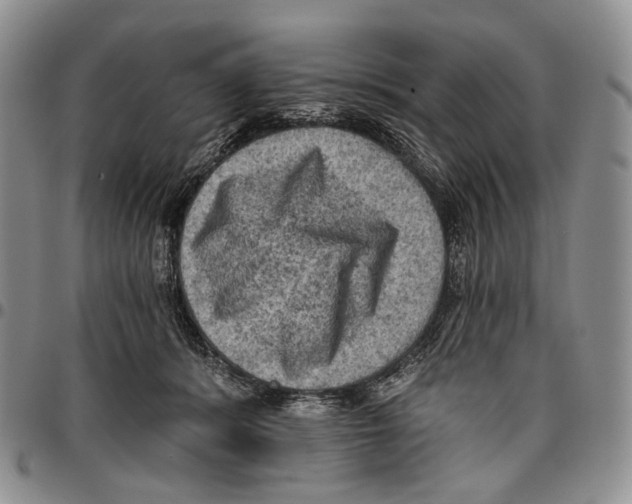 X0000096680416200803041244