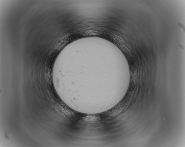 X0000096680418200803041244