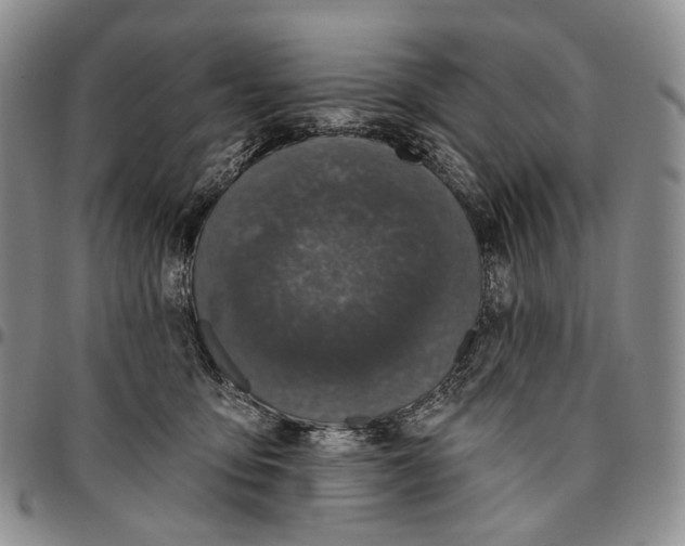 X0000096680419200803041244