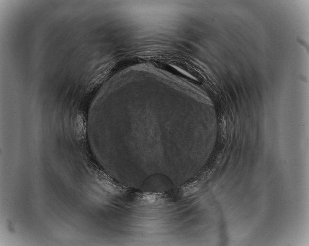 X0000096680420200803041244