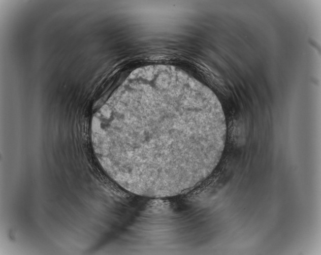 X0000096680421200803041244