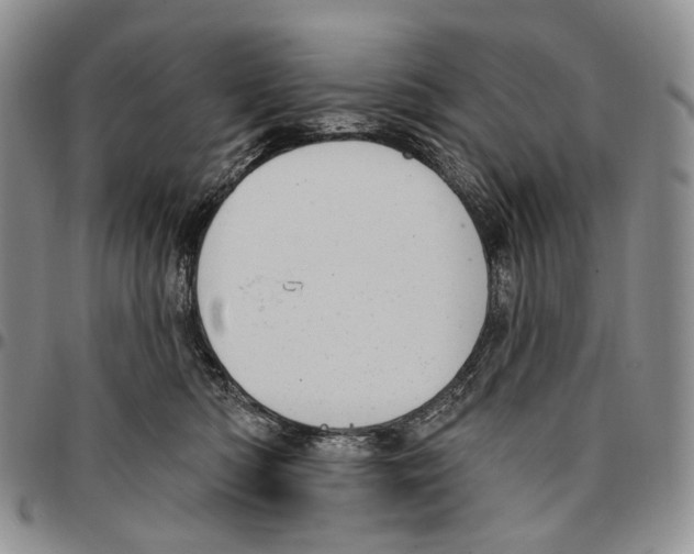 X0000096680422200803041244